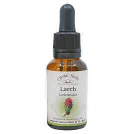 Floral Larch 20 ml