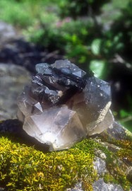 Essncia Mineral Black Tourmaline Master Quartz 