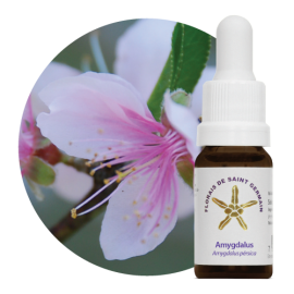 Floral Amygdalus 10 ml 