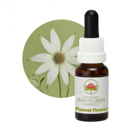 Floral Flannel Flower 15 ml