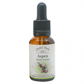 Floral Aspen 20 ml