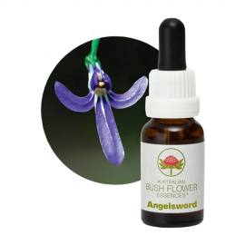 Floral Angelsword 15 ml