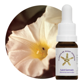 Floral Saint Germain 10 ml