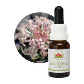 Floral Slender Rice Flower 15 ml