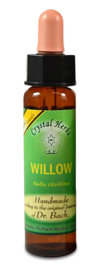 Floral Willow 10 ml
