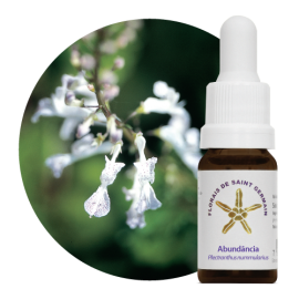 Floral Abundncia 10 ml