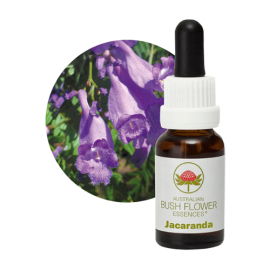 Floral Jacaranda 15 ml