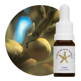 Floral Cocos 10 ml