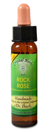Floral Rock Rose 10 ml